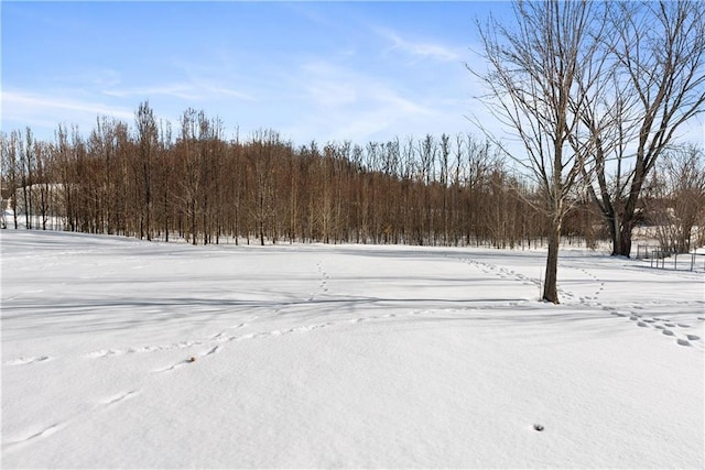 view of yard layered in snow