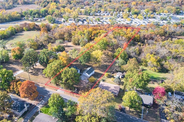 bird's eye view