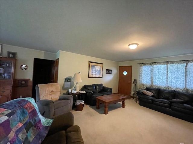 living room with carpet flooring