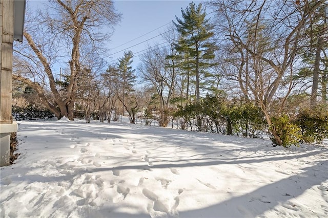 view of yard covered in snow