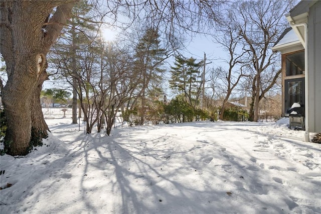 view of snowy yard