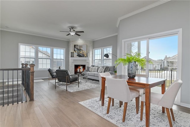 dining area with a fireplace, a wealth of natural light, and wood-type flooring