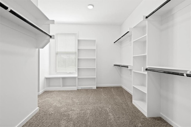 walk in closet with carpet