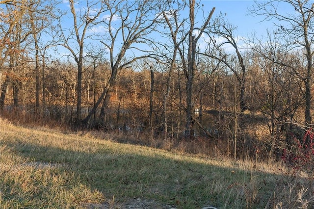 view of local wilderness