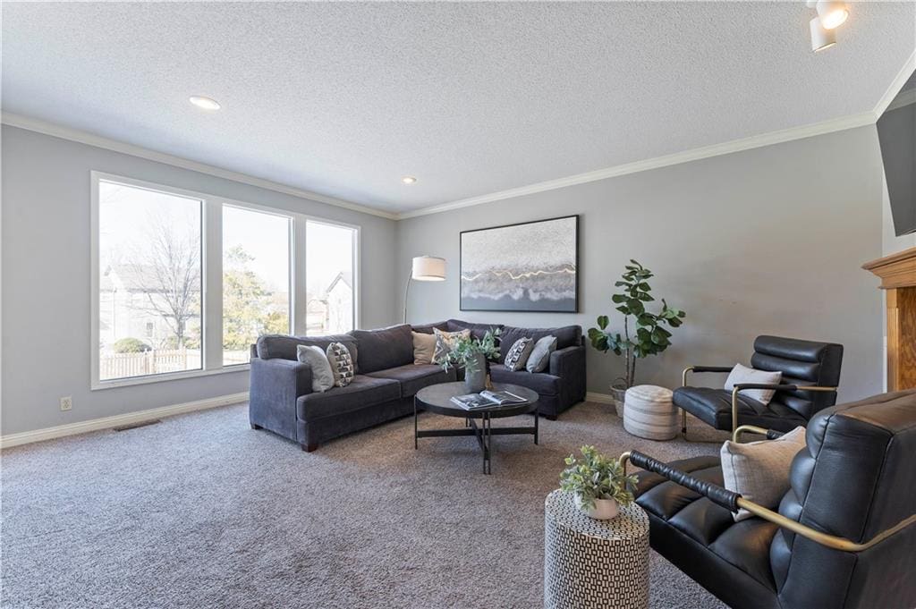 carpeted living room featuring crown molding and a textured ceiling