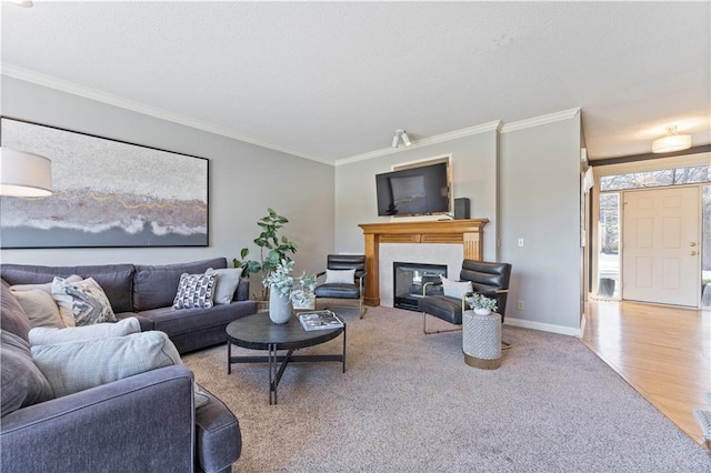 living room with ornamental molding and light hardwood / wood-style flooring