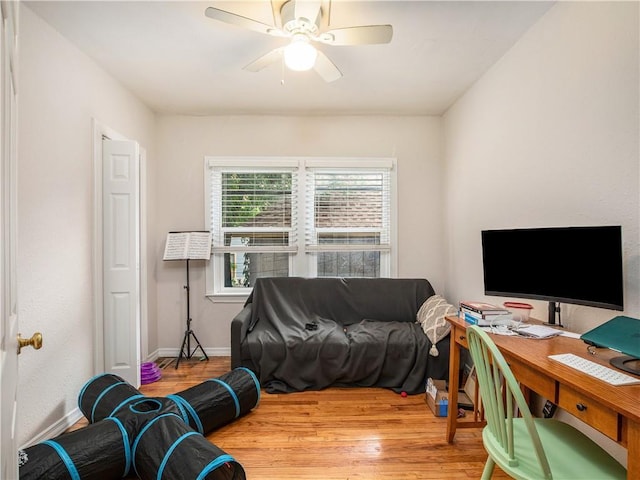 office featuring hardwood / wood-style floors and ceiling fan