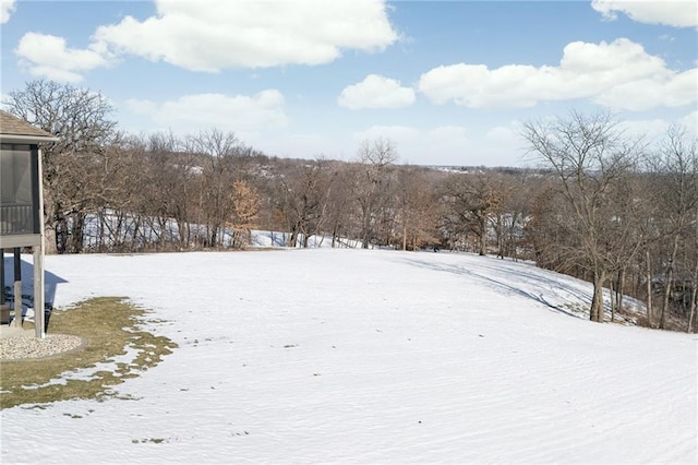 view of yard covered in snow