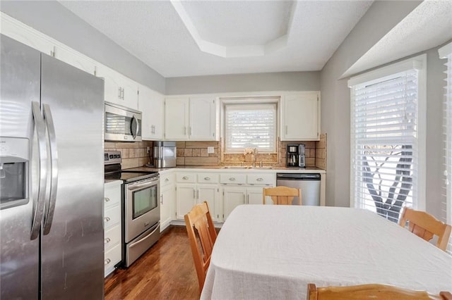 kitchen with tasteful backsplash, a tray ceiling, stainless steel appliances, white cabinets, and dark hardwood / wood-style flooring