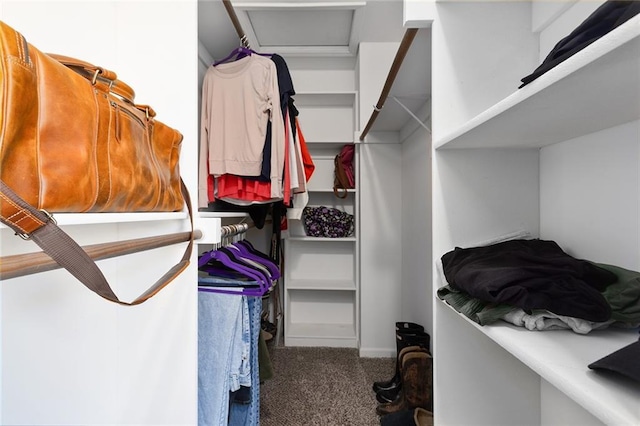 walk in closet featuring carpet floors