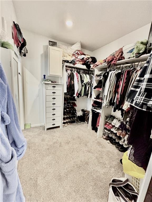 spacious closet with light colored carpet