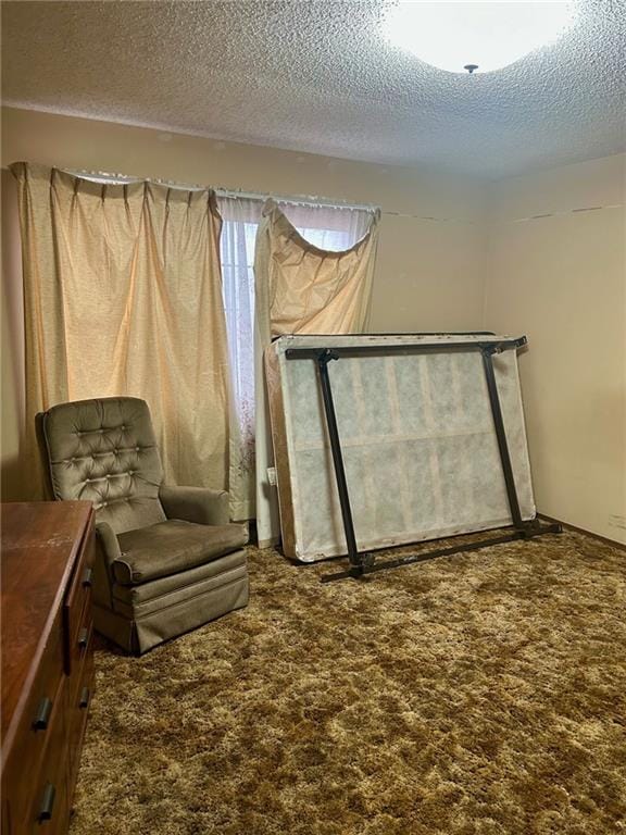 living area with carpet floors and a textured ceiling