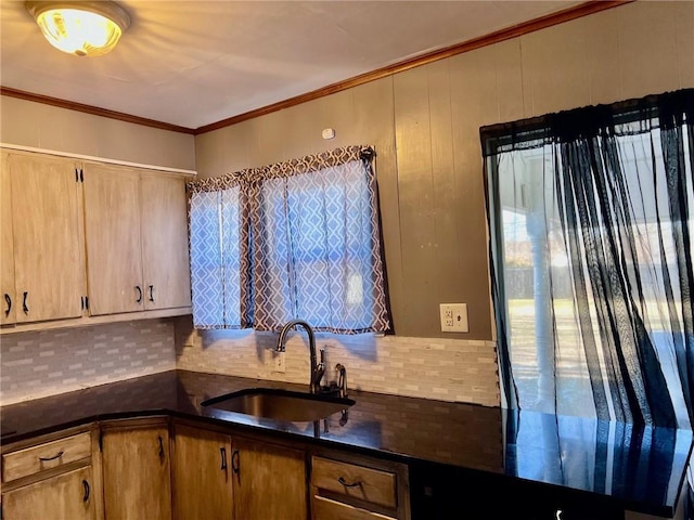 kitchen featuring decorative backsplash, ornamental molding, and sink