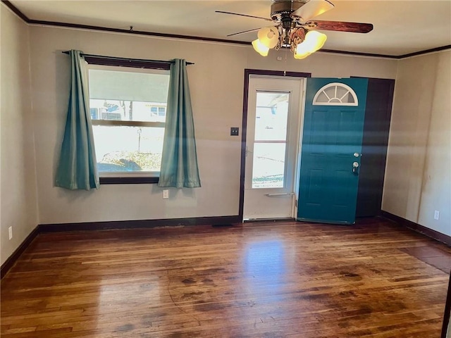 entrance foyer with ceiling fan, dark hardwood / wood-style flooring, ornamental molding, and a wealth of natural light