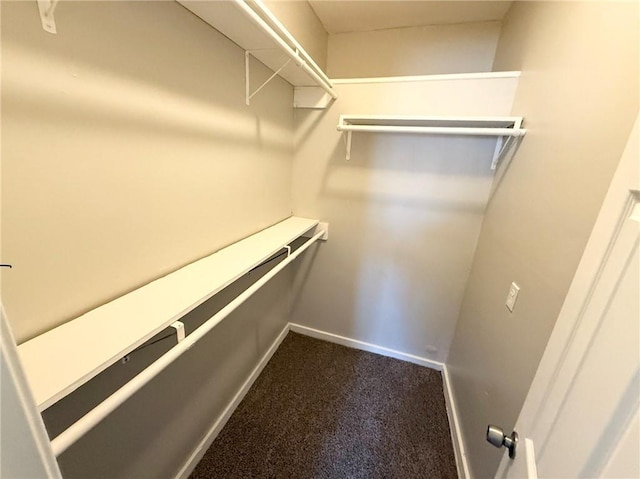 walk in closet with carpet floors