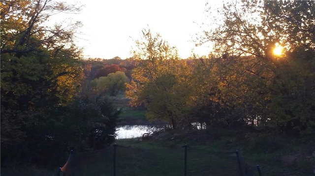 water view featuring a wooded view