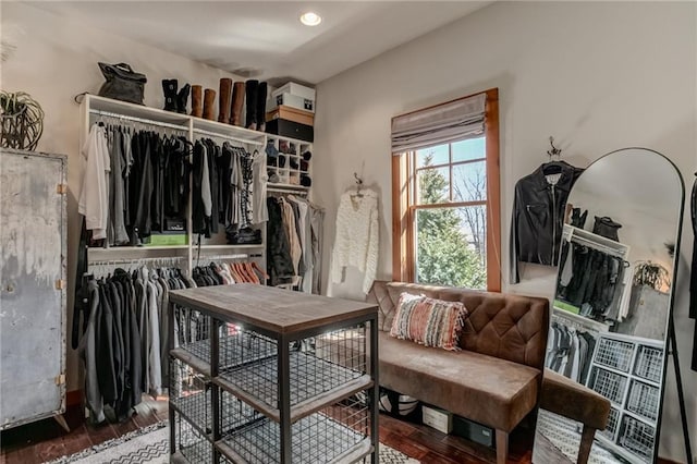 spacious closet featuring wood finished floors