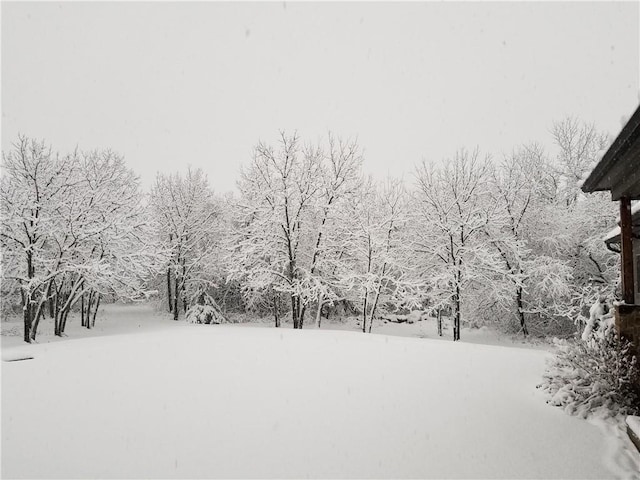 view of yard layered in snow