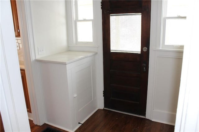 doorway to outside with dark wood-type flooring