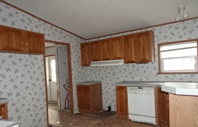 kitchen featuring dishwasher, ornamental molding, and lofted ceiling