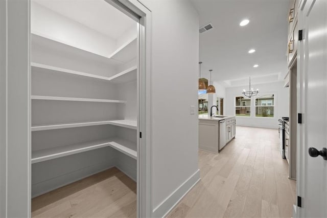 pantry with sink