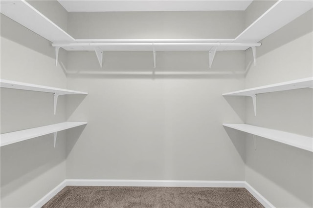 walk in closet with carpet