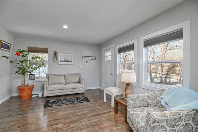 living room featuring dark hardwood / wood-style floors and a healthy amount of sunlight