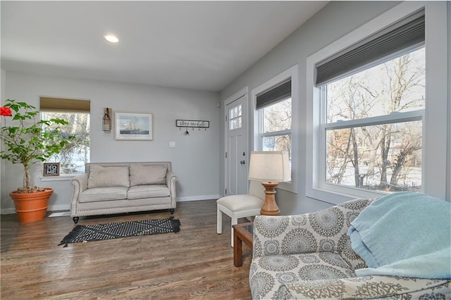 living room featuring hardwood / wood-style flooring and a wealth of natural light