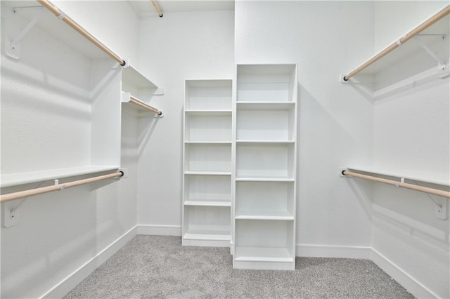 walk in closet featuring light carpet