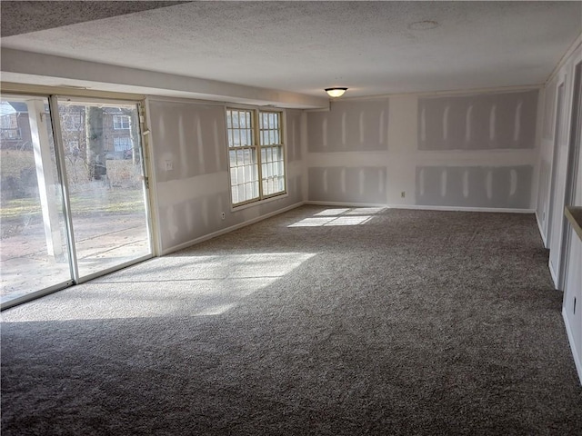 spare room with carpet and a textured ceiling