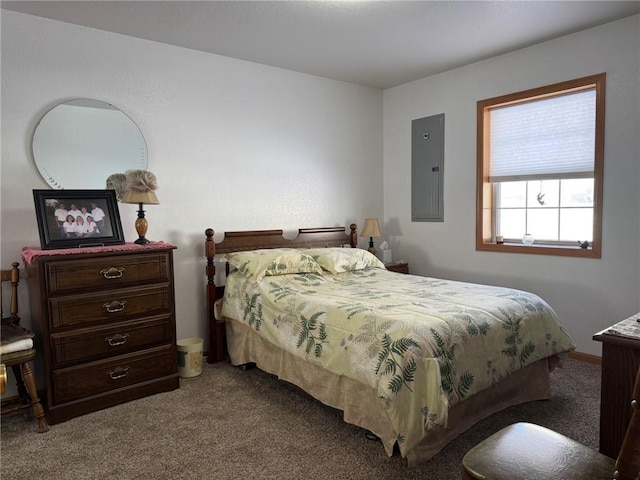 carpeted bedroom featuring electric panel