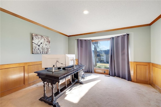 office featuring ornamental molding, light colored carpet, and wainscoting