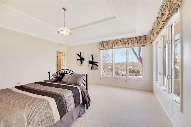 bedroom with carpet, baseboards, and a raised ceiling