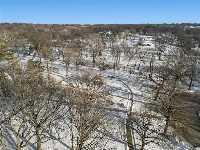 view of snowy view