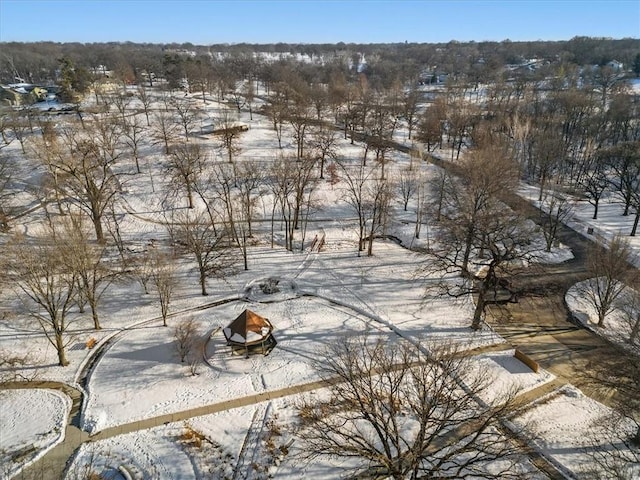 view of snowy aerial view