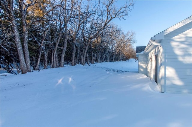 view of yard covered in snow