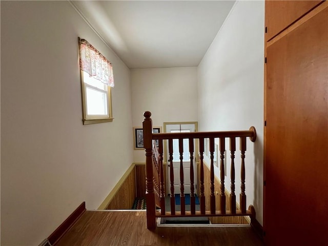 staircase with hardwood / wood-style flooring