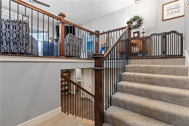 staircase featuring carpet flooring