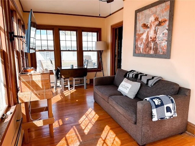 living room featuring hardwood / wood-style flooring and ornamental molding