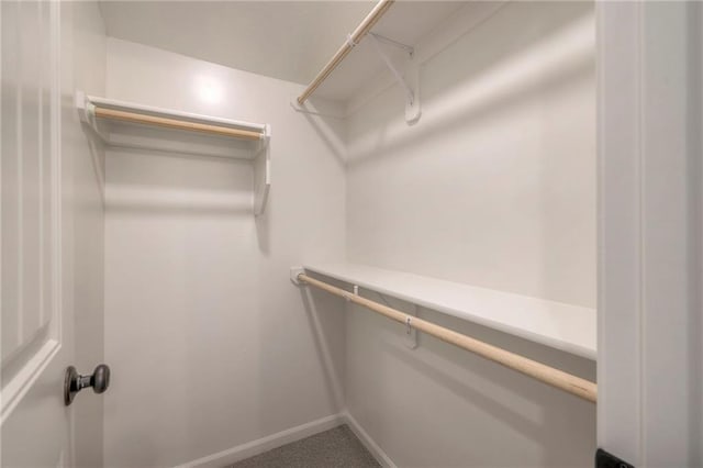 spacious closet featuring carpet floors