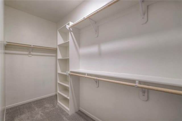 spacious closet featuring dark colored carpet