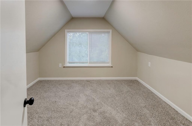 additional living space with carpet and vaulted ceiling