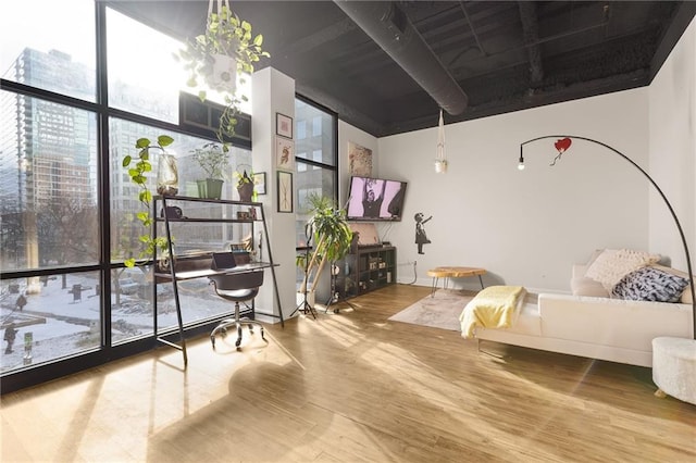 interior space featuring wood-type flooring, a wall of windows, and a healthy amount of sunlight