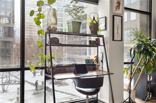 home office featuring a wealth of natural light