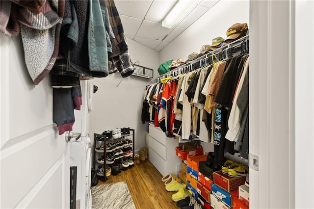 spacious closet featuring a drop ceiling and wood-type flooring