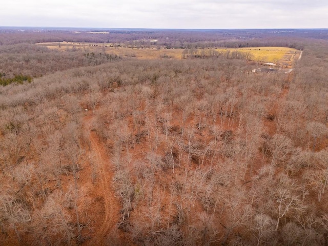 drone / aerial view featuring a rural view