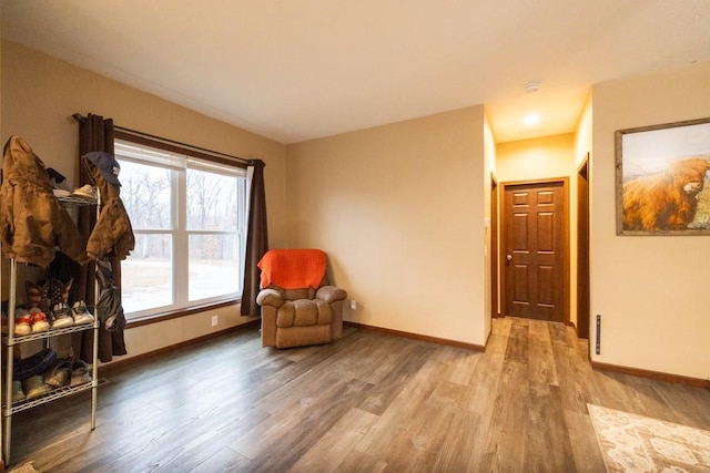 living area featuring wood-type flooring