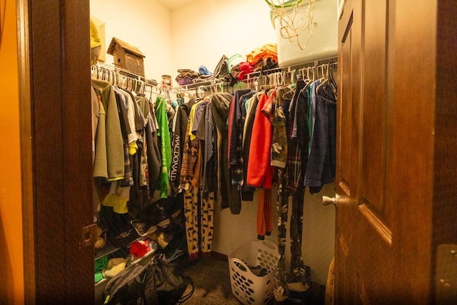 walk in closet featuring carpet floors