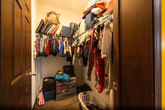 spacious closet featuring carpet