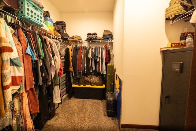 spacious closet featuring carpet floors